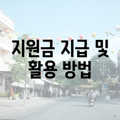 지원금 지급 및 활용 방법