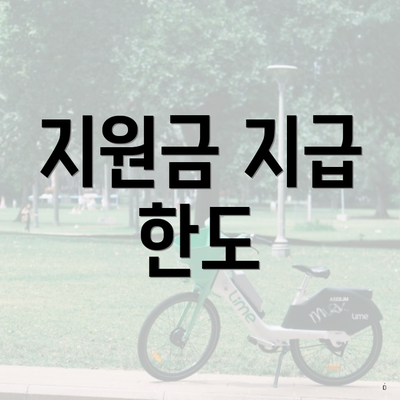 지원금 지급 한도