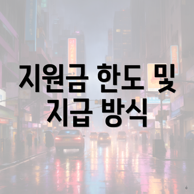 지원금 한도 및 지급 방식