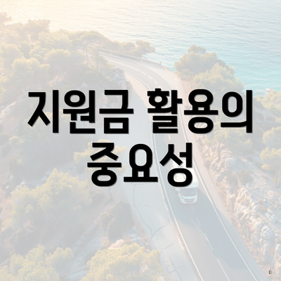 지원금 활용의 중요성