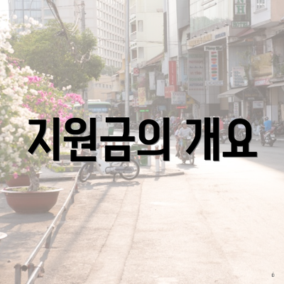 지원금의 개요