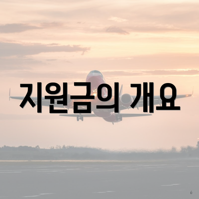 지원금의 개요