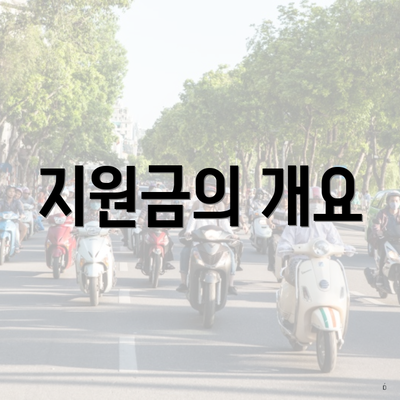 지원금의 개요