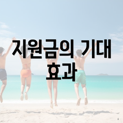 지원금의 기대 효과