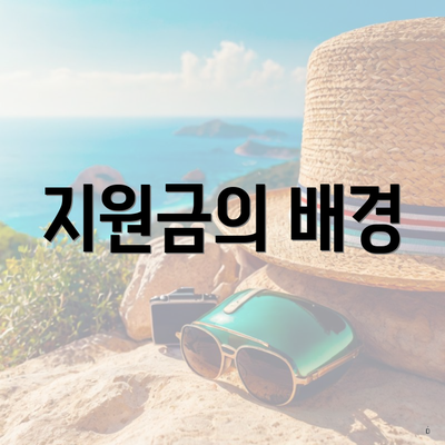 지원금의 배경