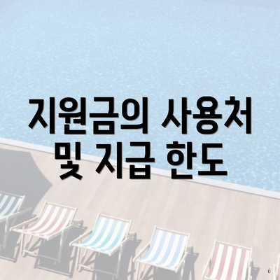 지원금의 사용처 및 지급 한도