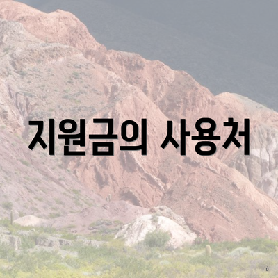 지원금의 사용처