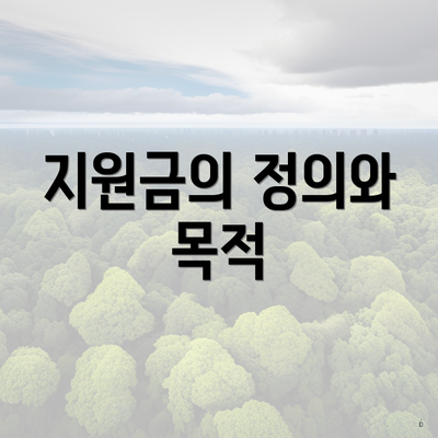 지원금의 정의와 목적