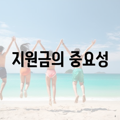 지원금의 중요성