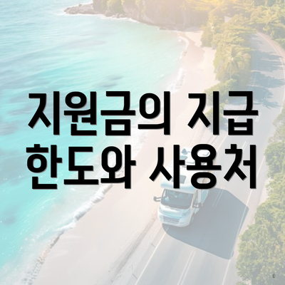 지원금의 지급 한도와 사용처