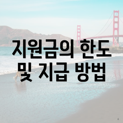 지원금의 한도 및 지급 방법