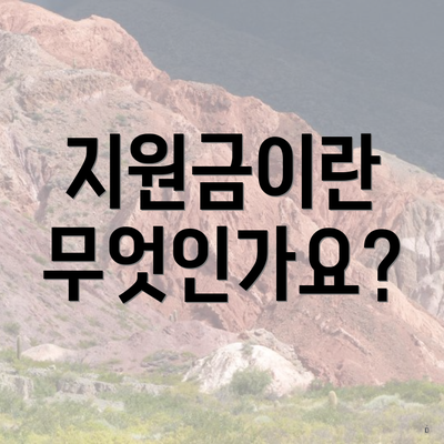 지원금이란 무엇인가요?