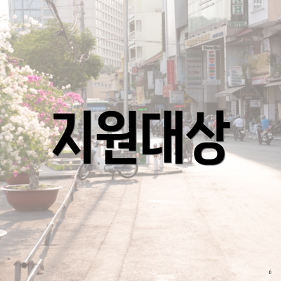 지원대상