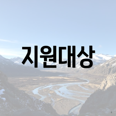 지원대상