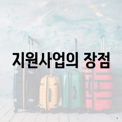 지원사업의 장점