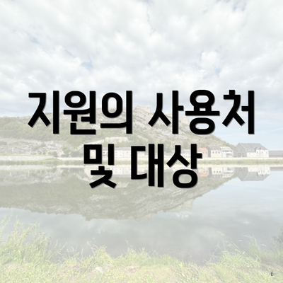 지원의 사용처 및 대상