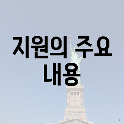 지원의 주요 내용