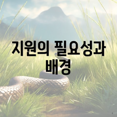 지원의 필요성과 배경