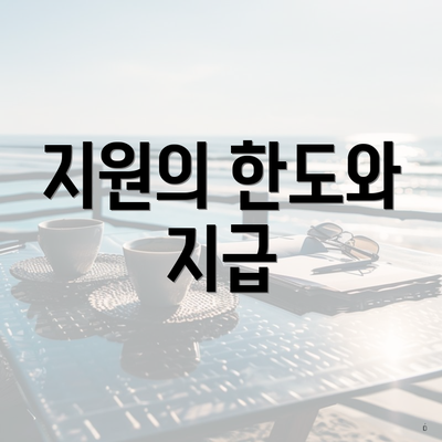 지원의 한도와 지급