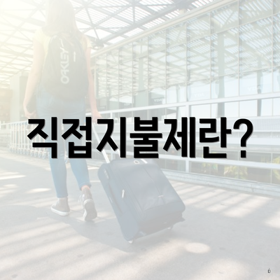 직접지불제란?