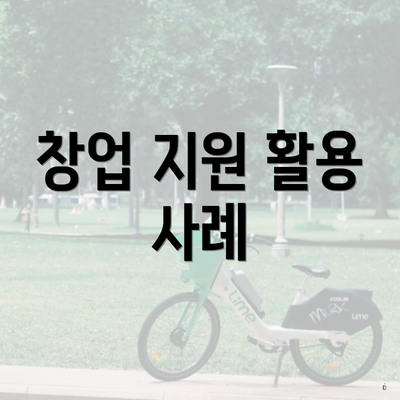 창업 지원 활용 사례