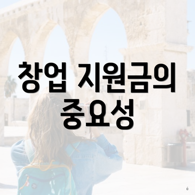 창업 지원금의 중요성