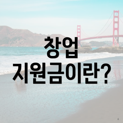 창업 지원금이란?
