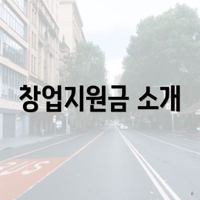 창업지원금 소개