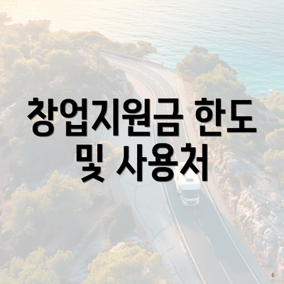 창업지원금 한도 및 사용처