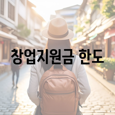 창업지원금 한도