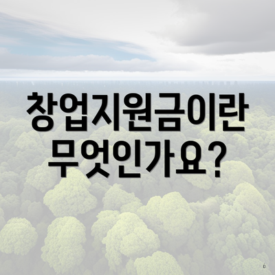 창업지원금이란 무엇인가요?