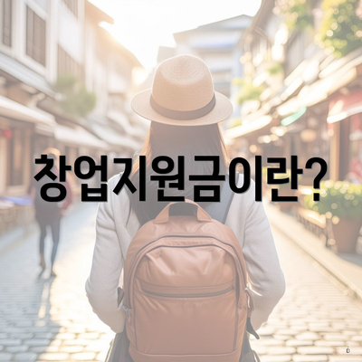 창업지원금이란?
