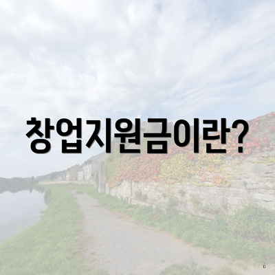 창업지원금이란?