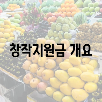 창작지원금 개요