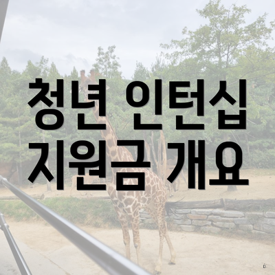 청년 인턴십 지원금 개요