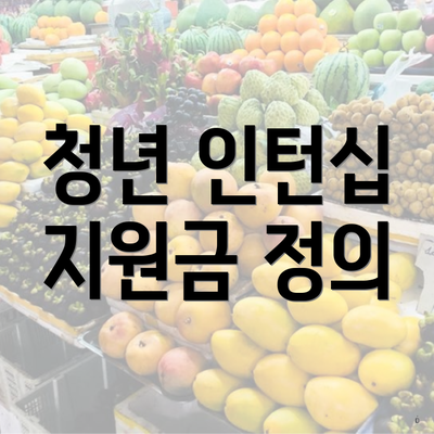 청년 인턴십 지원금 정의
