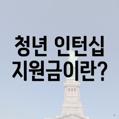 청년 인턴십 지원금이란?