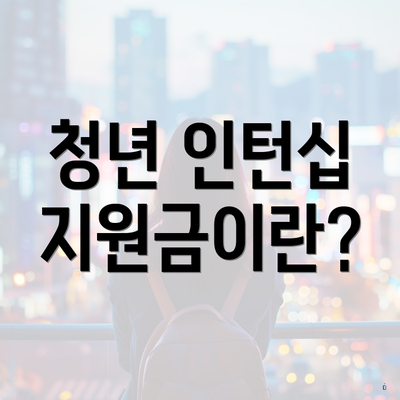 청년 인턴십 지원금이란?