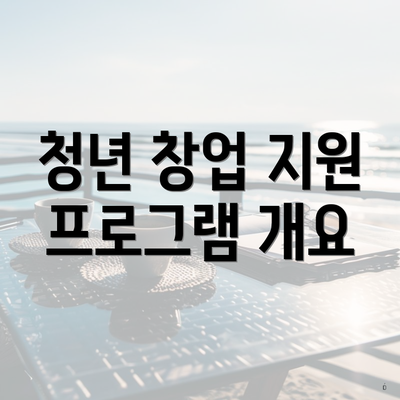 청년 창업 지원 프로그램 개요