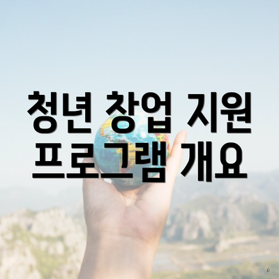 청년 창업 지원 프로그램 개요