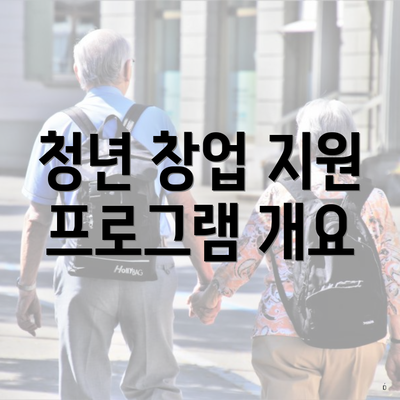 청년 창업 지원 프로그램 개요
