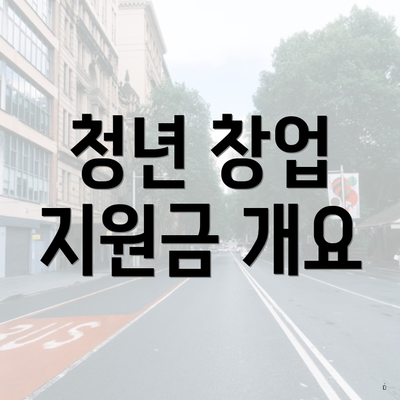 청년 창업 지원금 개요