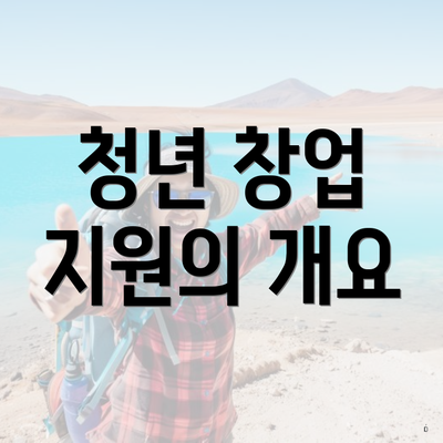 청년 창업 지원의 개요