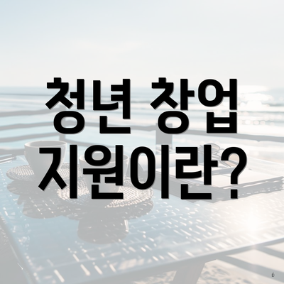 청년 창업 지원이란?
