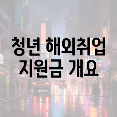 청년 해외취업 지원금 개요