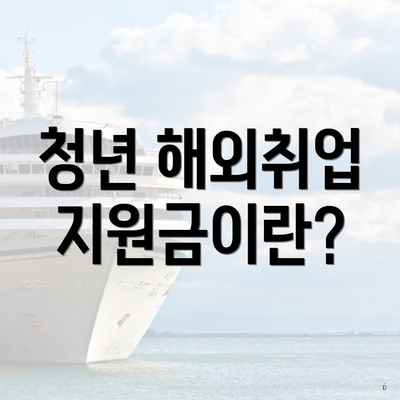 청년 해외취업 지원금이란?