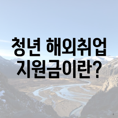 청년 해외취업 지원금이란?