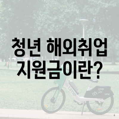 청년 해외취업 지원금이란?
