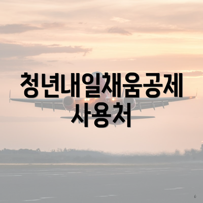 청년내일채움공제 사용처
