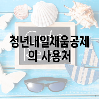 청년내일채움공제의 사용처